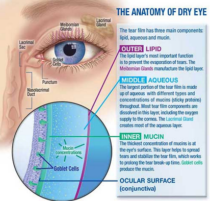 May_Part 2_Ophthalmology
